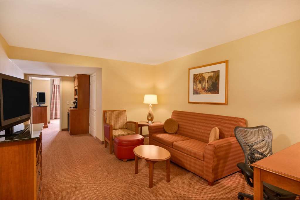 Hilton Garden Inn Mcallen Airport Pokój zdjęcie